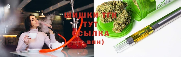 индика Армянск