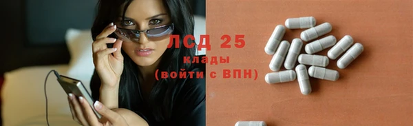 молекула духа Арсеньев