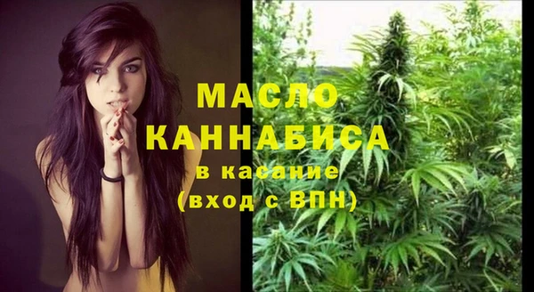 молекула духа Арсеньев