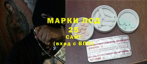 индика Армянск